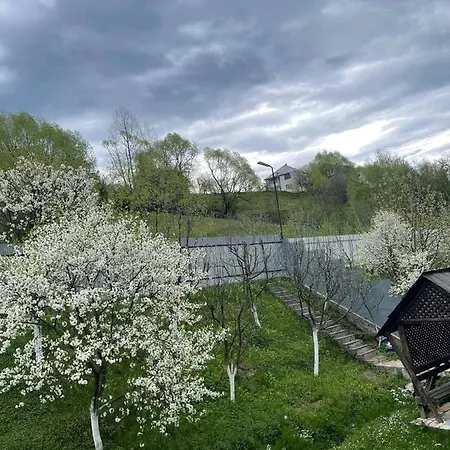 Marniuta's House Villa Mizhhirya (Transcarpathia)